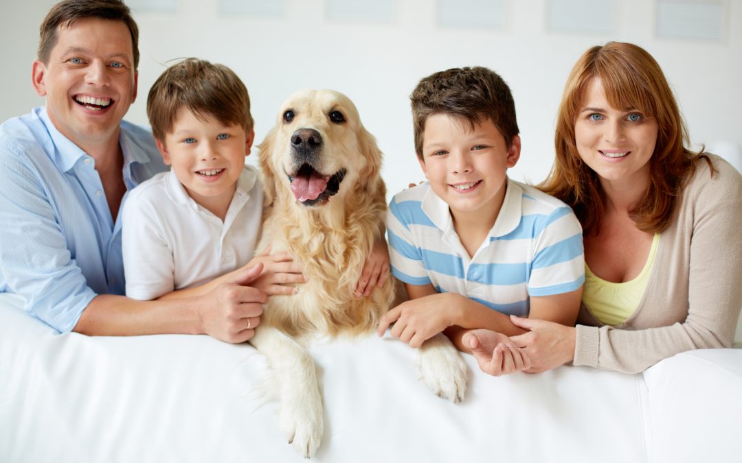 Households with pets outnumber those with children